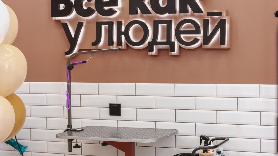 Рабочее место грумера в салоне: стол, тележка с инструментом и косметикой