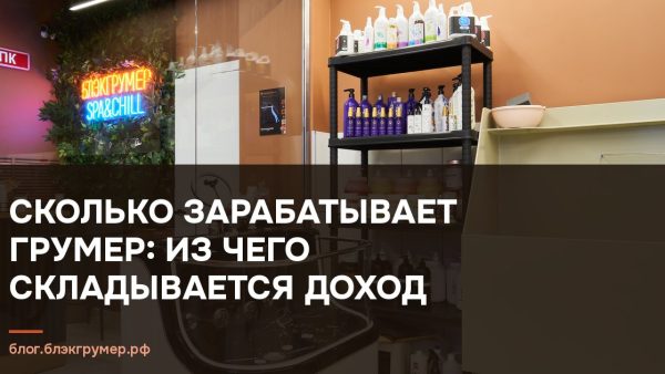 Рабочее место мастера в груминг-салоне: стол, инструменты и косметика для ухода