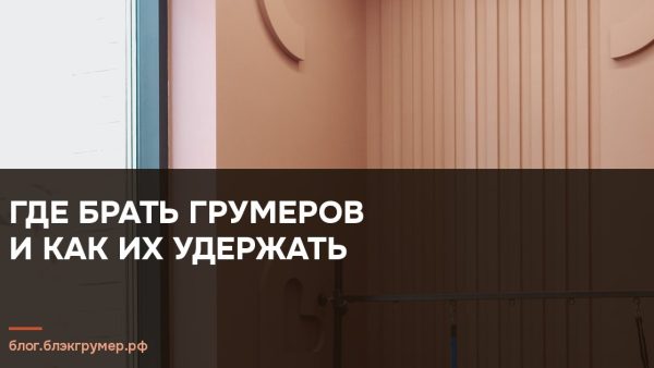 Моечная зона груминг-салона: ванна, душ и профессиональная косметика