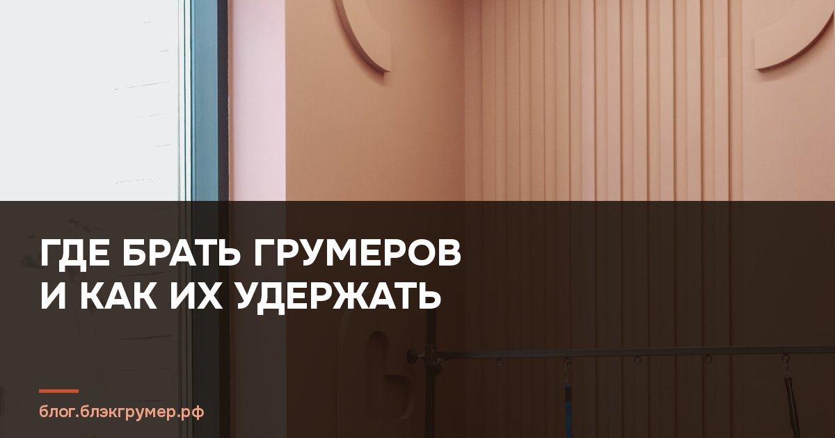 Моечная зона груминг-салона: ванна, душ и профессиональная косметика