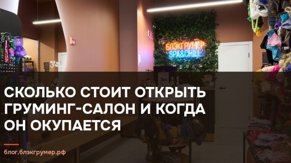 Торговый зал груминг-салона «Блэкгрумер» с неоновой вывеской