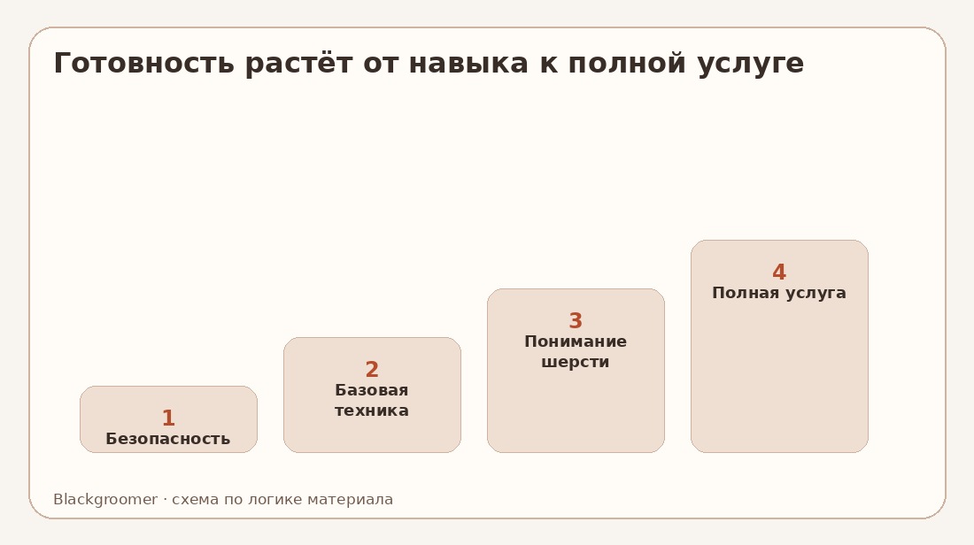 Курсы грумера: что должен уметь выпускник перед первым самостоятельным клиентом