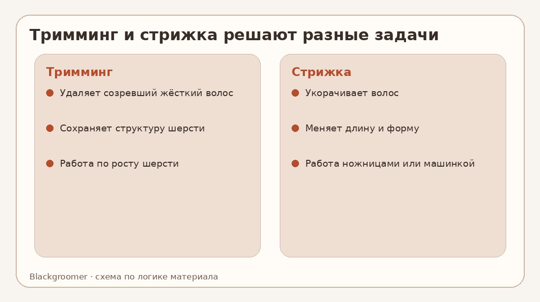Тримминг собак: чем он отличается от обычной стрижки и когда применяется