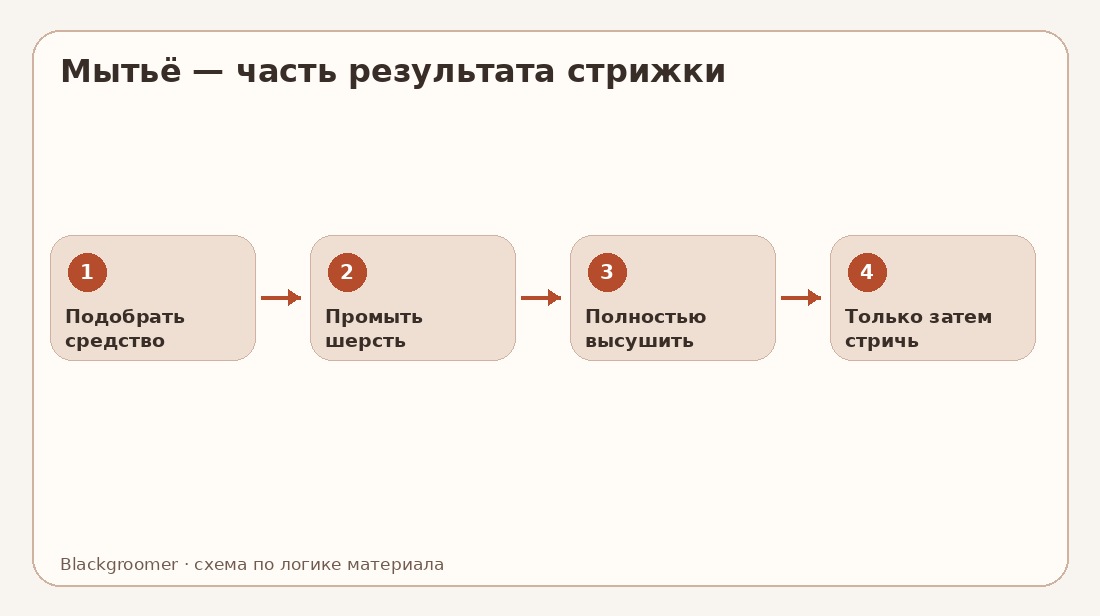 Мытьё собак в груминге: почему шампунь и сушка влияют на результат не меньше ножниц